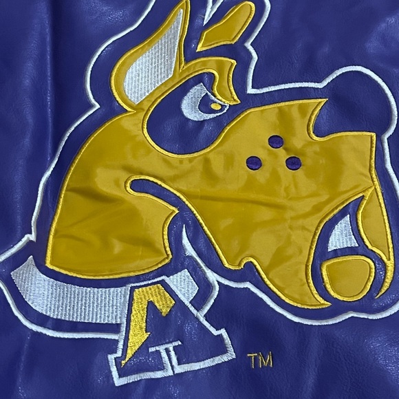 Rare vintage University of Albany Great Danes leather jacket - Picture 4 of 6